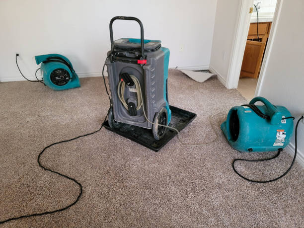 Best Sewage cleanup and water damage restoration  in Leadwood, MO