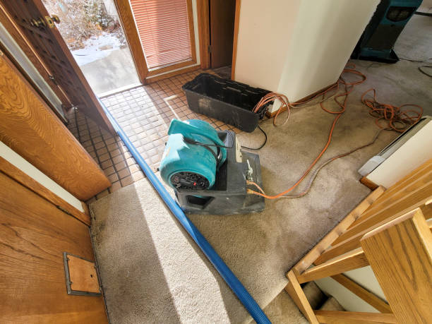 Best Water damage restoration services  in Leadwood, MO