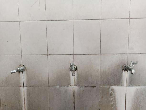Best Ceiling water damage repair  in Leadwood, MO