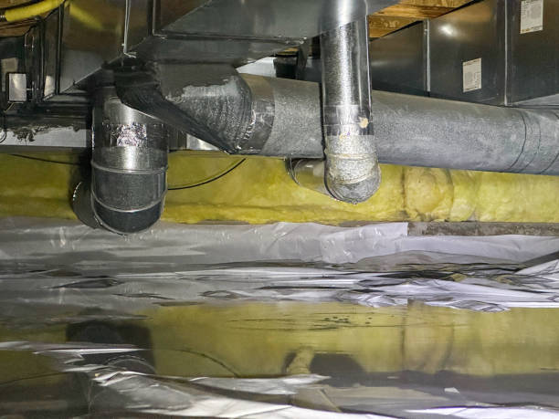 Best Water damage repair service  in Leadwood, MO